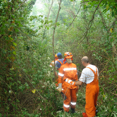 Incendio 09/08 n. 11 / 41404
