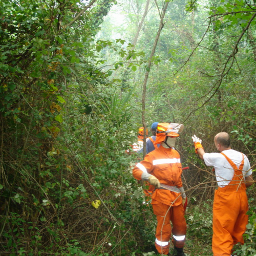 Incendio 09/08 n. 12 / 41405