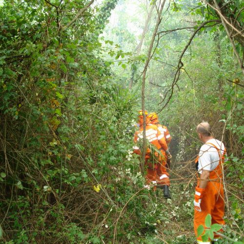 Incendio 09/08 n. 13 / 41406