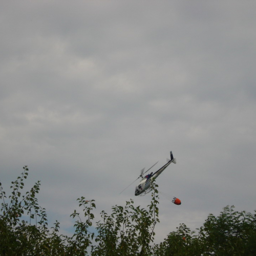 Incendio 09/08 n. 21 / 41414