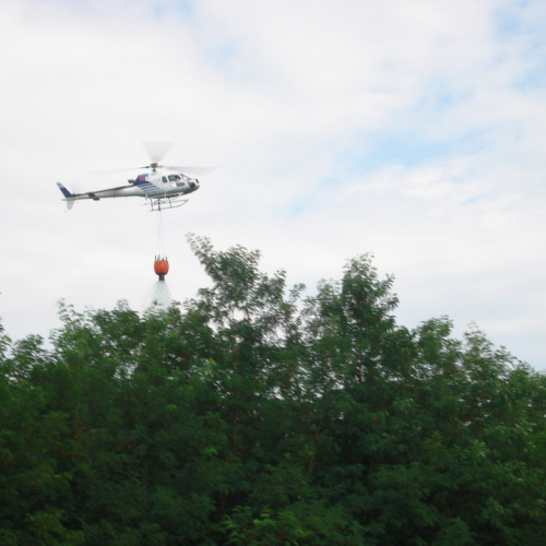 Incendio 09/08 n. 25 / 41418