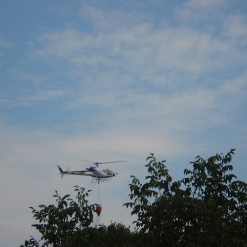 Incendio 09/08 n. 26 / 41419