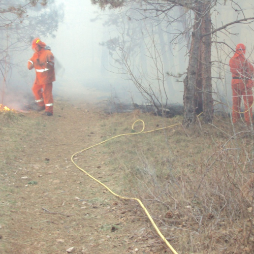 Incendio boschivo Monrupino-Trieste n. 6 / 77091