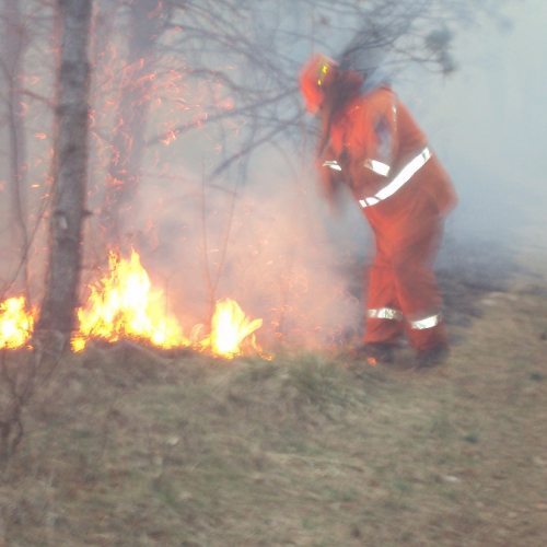 Incendio boschivo Monrupino-Trieste n. 7 / 77092