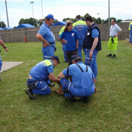 6∞ meeting di Protezione civile - Mereto 2011 n. 20 / 67886