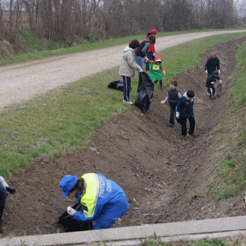 Giornata ecologica 21/03 n. 2 / 49954