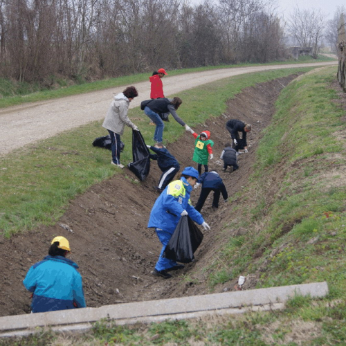 Giornata ecologica 21/03 n. 3 / 49955
