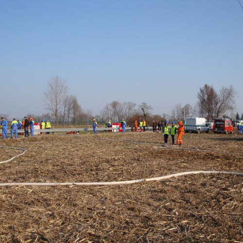 Stage aib n. 54 / 77470