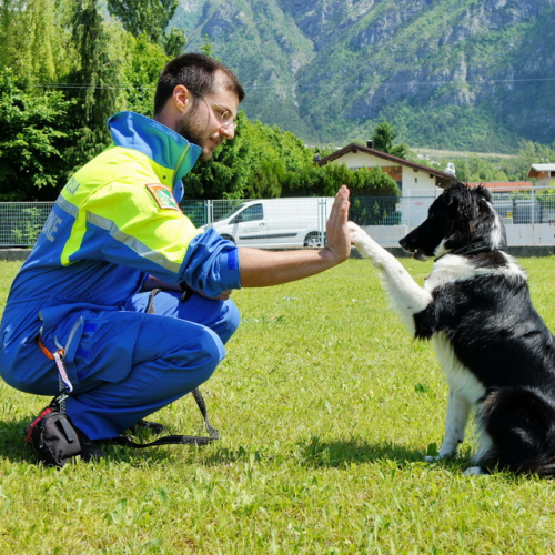 Corso elicooperazione per unit‡ cinofile del 26/05/12 n. 4 / 81782