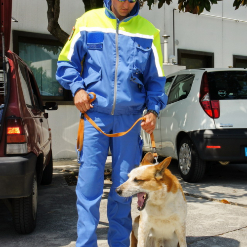 Corso elicooperazione per unit‡ cinofile del 26/05/12 n. 7 / 81785