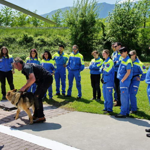 Corso elicooperazione per unit‡ cinofile del 26/05/12 n. 8 / 81786