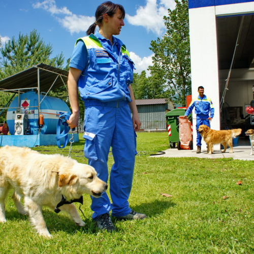 Corso elicooperazione per unit‡ cinofile del 26/05/12 n. 16 / 81794