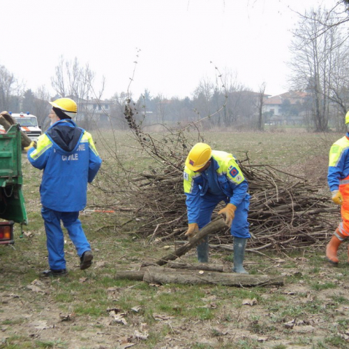 Alvei Puliti Fiume Fiume 2011 n. 9 / 61678