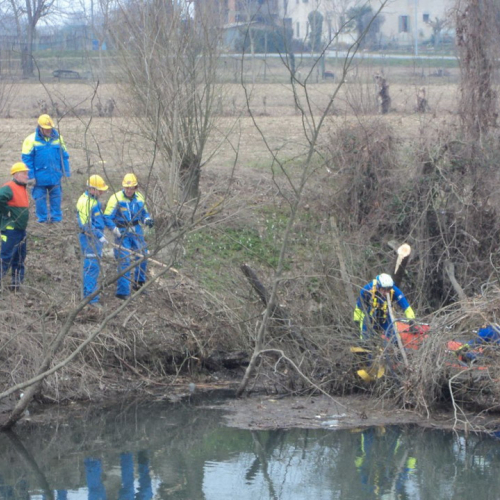 Alvei Puliti Fiume Fiume 2011 n. 10 / 61679