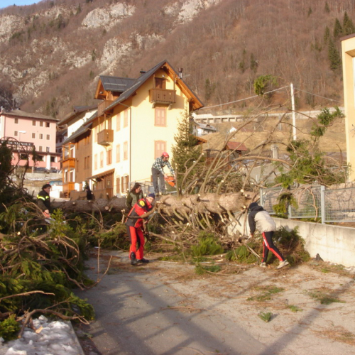 Altre foto Forni Avoltri n. 24 / 20368