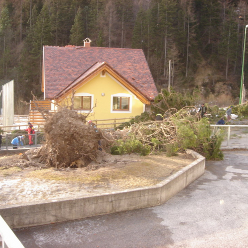 Altre foto Forni Avoltri n. 25 / 20369