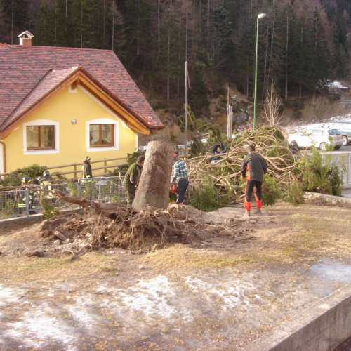 Altre foto Forni Avoltri n. 26 / 20370