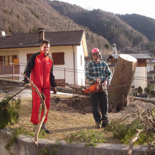 Altre foto Forni Avoltri n. 27 / 20371