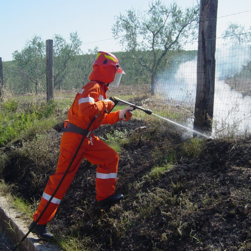 5∞ turno Puglia 2011 n. 5 / 69844