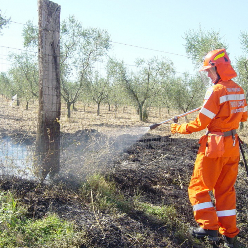 5∞ turno Puglia 2011 n. 6 / 69845