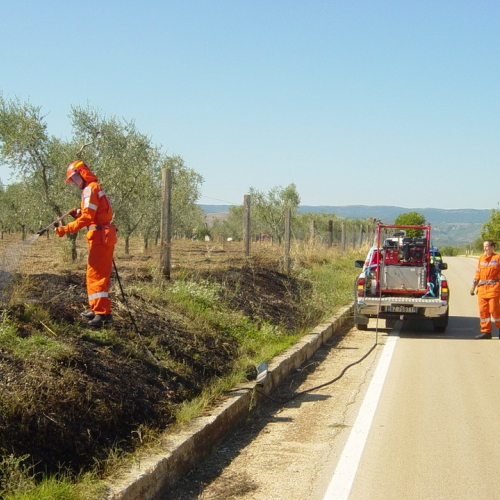 5∞ turno Puglia 2011 n. 7 / 69846