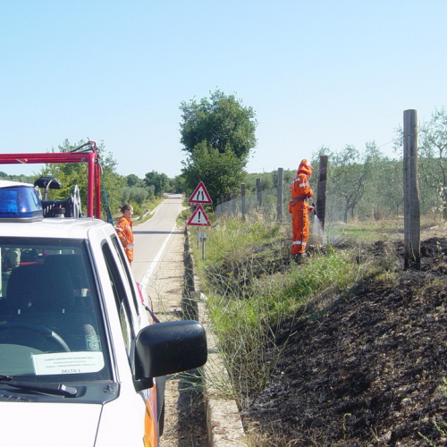 5∞ turno Puglia 2011 n. 9 / 69848