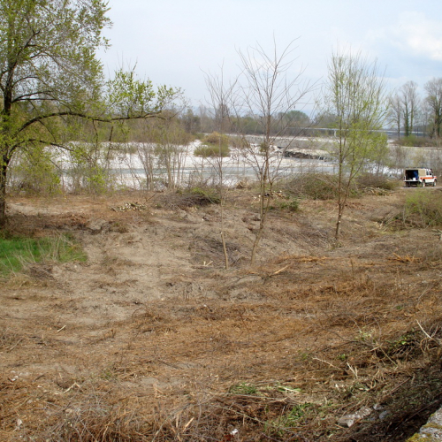 Intervento Fiume Isonzo nei pressi del Ponte di Sagrado n. 50 / 78662