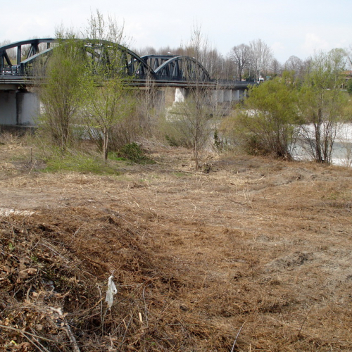 Intervento Fiume Isonzo nei pressi del Ponte di Sagrado n. 51 / 78663