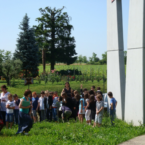 Attivit‡ con le scuole 08-09/06/13 n. 7 / 96505