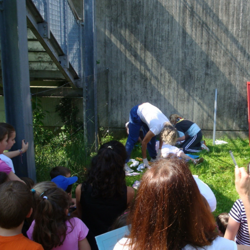 Attivit‡ con le scuole 08-09/06/13 n. 11 / 96509