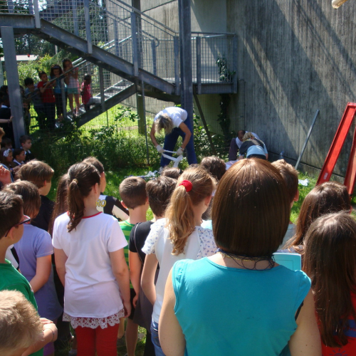 Attivit‡ con le scuole 08-09/06/13 n. 12 / 96510