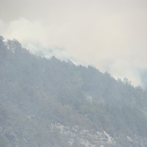 Volontari AIB di Cividale interventi sull'incendio di Chiusaforte a Chiout Cali n. 8 / 98204