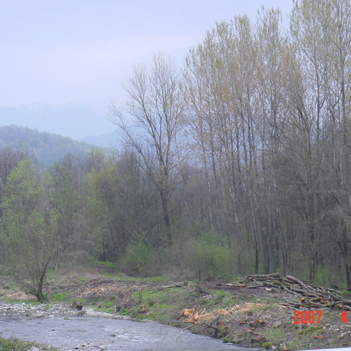 foto Cornappo 14 / 9741