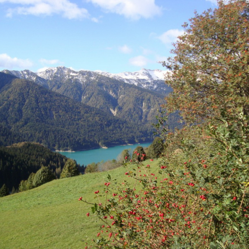 Esercitazione AIB a Lateis n. 27 / 71182