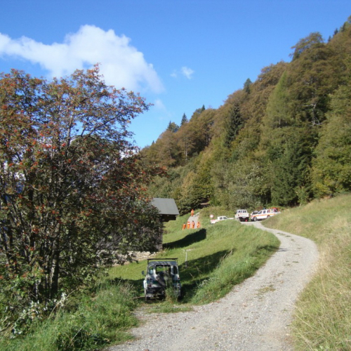 Esercitazione AIB a Lateis n. 28 / 71183