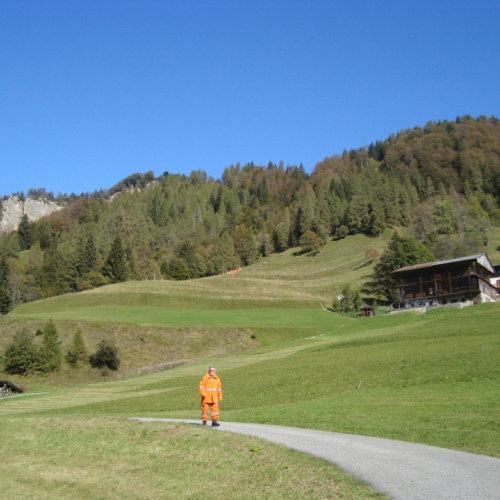 Esercitazione AIB a Lateis n. 30 / 71185