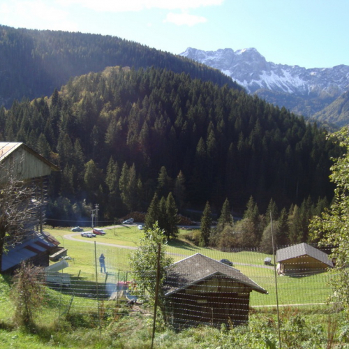 Esercitazione AIB a Lateis n. 35 / 71190