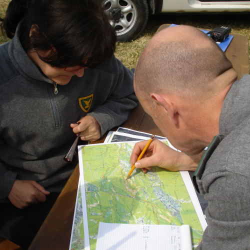 Immagini del pomeriggio del 30/03 n. 1 / 79571