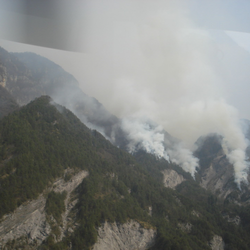 Immagini del pomeriggio del 30/03 n. 2 / 79572