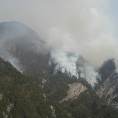 Immagini del pomeriggio del 30/03 n. 3 / 79573