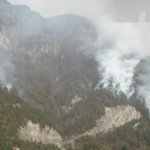 Immagini del pomeriggio del 30/03 n. 4 / 79574