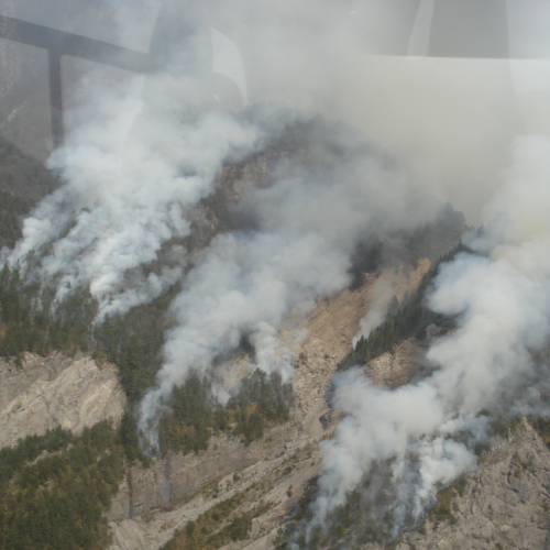 Immagini del pomeriggio del 30/03 n. 5 / 79575