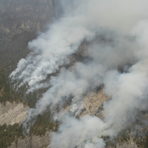 Immagini del pomeriggio del 30/03 n. 6 / 79576