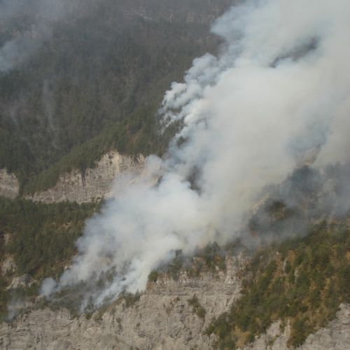 Immagini del pomeriggio del 30/03 n. 7 / 79577