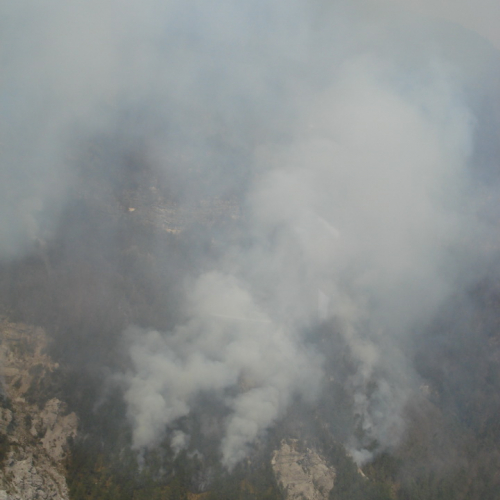 Immagini del pomeriggio del 30/03 n. 8 / 79578