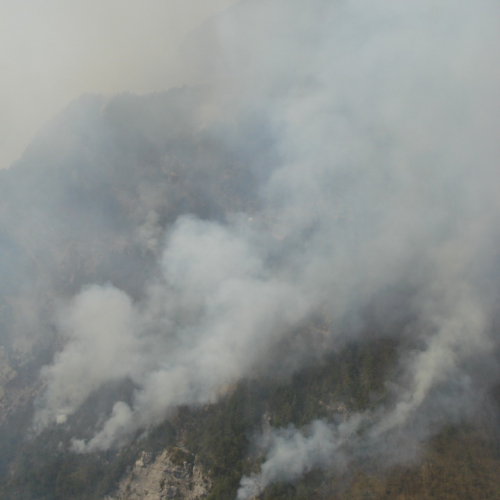 Immagini del pomeriggio del 30/03 n. 9 / 79579