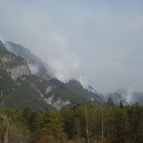 Immagini del pomeriggio del 30/03 n. 10 / 79580