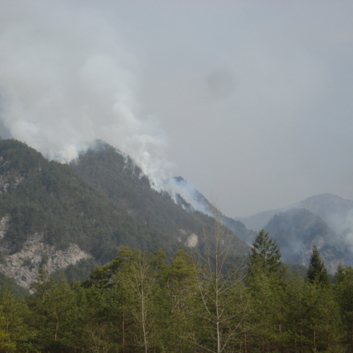 Immagini del pomeriggio del 30/03 n. 11 / 79581