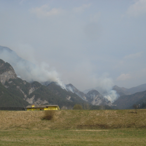 Immagini del pomeriggio del 30/03 n. 12 / 79582