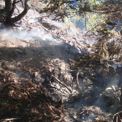 Incendio boschivo Malga Veltri n. 4 / 85694